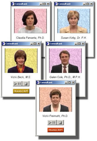 image of the different Consultant windows