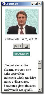 image of the Consultant window with the transcript