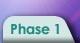 go to Phase 1: Describe Problem