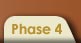 go to Phase 4: Develop Intervention
