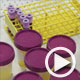 Video - Bioassay Collection